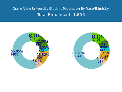 Grand View University 2025 Student Population by Gender and Race chart