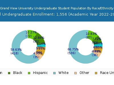 Grand View University 2023 Undergraduate Enrollment by Gender and Race chart