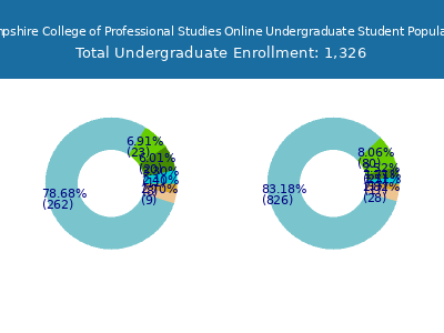 University of New Hampshire College of Professional Studies Online 2025 Undergraduate Enrollment by Gender and Race chart