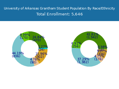 University of Arkansas Grantham 2025 Student Population by Gender and Race chart