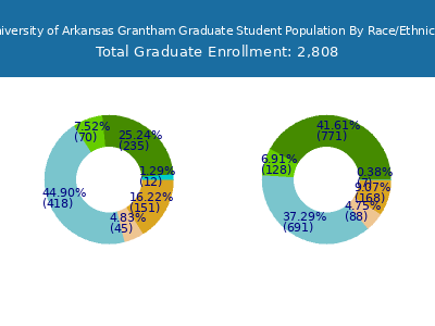 University of Arkansas Grantham 2025 Graduate Enrollment by Gender and Race chart