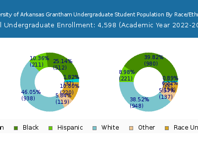 University of Arkansas Grantham 2023 Undergraduate Enrollment by Gender and Race chart