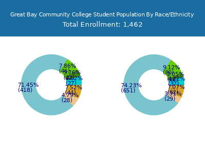 Great Bay Community College 2025 Student Population by Gender and Race chart
