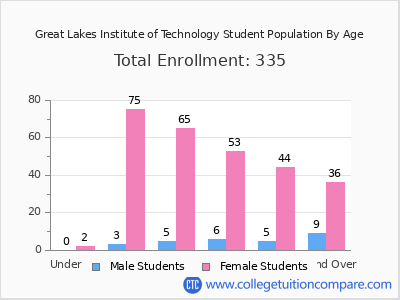 Great Lakes Institute of Technology 2024 Student Population by Age chart