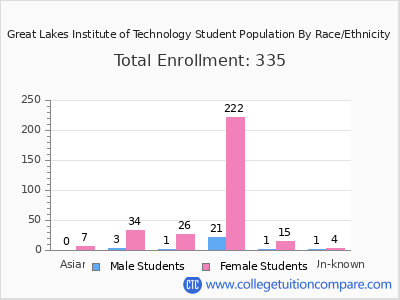 Great Lakes Institute of Technology 2025 Student Population by Gender and Race chart