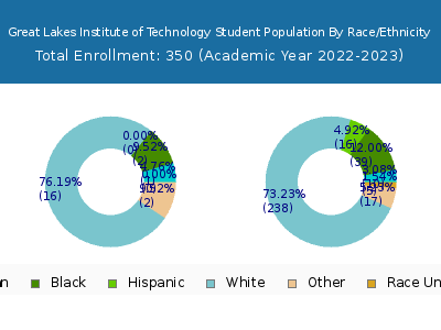 Great Lakes Institute of Technology 2023 Student Population by Gender and Race chart