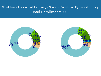Great Lakes Institute of Technology 2025 Student Population by Gender and Race chart