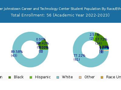 Greater Johnstown Career and Technology Center 2023 Student Population by Gender and Race chart