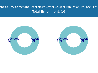 Greene County Career and Technology Center 2025 Student Population by Gender and Race chart