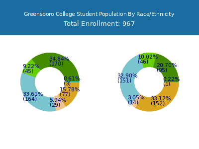 Greensboro College 2025 Student Population by Gender and Race chart