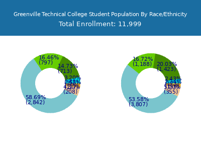 Greenville Technical College 2025 Student Population by Gender and Race chart