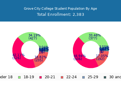 Grove City College 2025 Student Population Age Diversity Pie chart