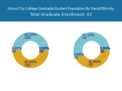 Grove City College 2025 Graduate Enrollment by Gender and Race chart