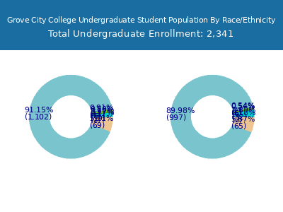 Grove City College 2025 Undergraduate Enrollment by Gender and Race chart