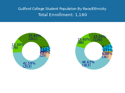 Guilford College 2025 Student Population by Gender and Race chart
