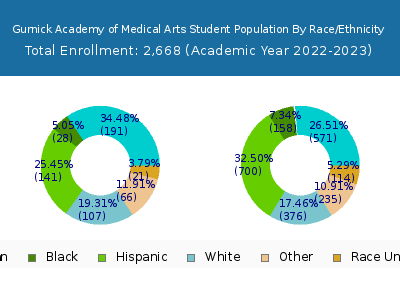 Gurnick Academy of Medical Arts 2023 Student Population by Gender and Race chart