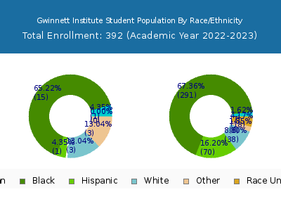 Gwinnett Institute 2023 Student Population by Gender and Race chart