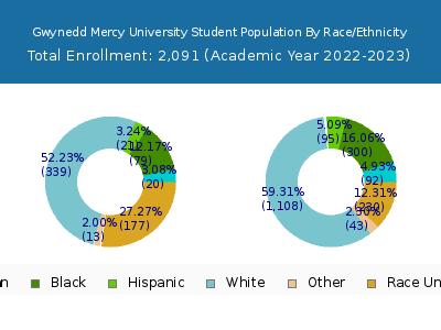 Gwynedd Mercy University 2023 Student Population by Gender and Race chart