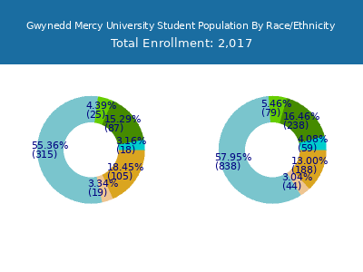 Gwynedd Mercy University 2025 Student Population by Gender and Race chart