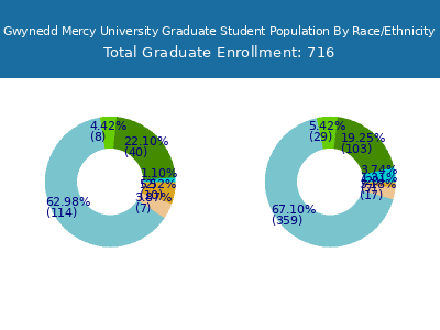Gwynedd Mercy University 2025 Graduate Enrollment by Gender and Race chart
