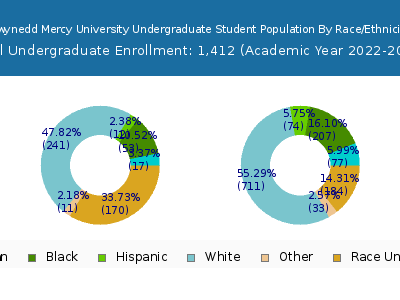 Gwynedd Mercy University 2023 Undergraduate Enrollment by Gender and Race chart