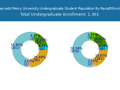 Gwynedd Mercy University 2025 Undergraduate Enrollment by Gender and Race chart