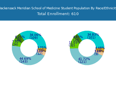 Hackensack Meridian School of Medicine 2025 Student Population by Gender and Race chart