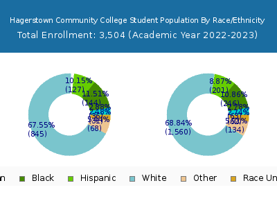 Hagerstown Community College 2023 Student Population by Gender and Race chart