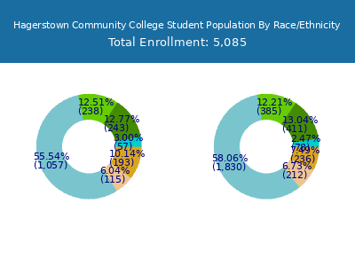 Hagerstown Community College 2025 Student Population by Gender and Race chart