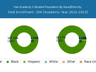 Hair Academy II 2023 Student Population by Gender and Race chart