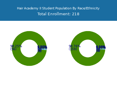 Hair Academy II 2025 Student Population by Gender and Race chart