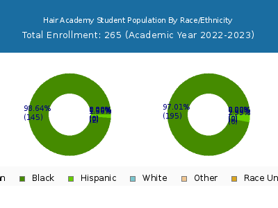 Hair Academy 2023 Student Population by Gender and Race chart