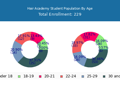 Hair Academy 2024 Student Population Age Diversity Pie chart