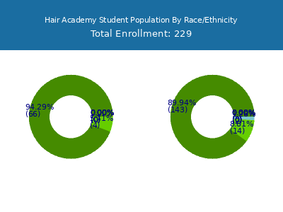 Hair Academy 2025 Student Population by Gender and Race chart