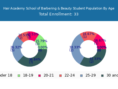 Hair Academy School of Barbering & Beauty 2024 Student Population Age Diversity Pie chart