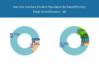 Hair Arts Institute 2025 Student Population by Gender and Race chart