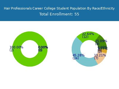 Hair Professionals Career College 2025 Student Population by Gender and Race chart