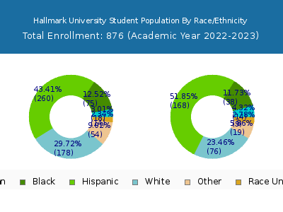 Hallmark University 2023 Student Population by Gender and Race chart