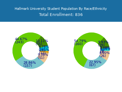 Hallmark University 2025 Student Population by Gender and Race chart