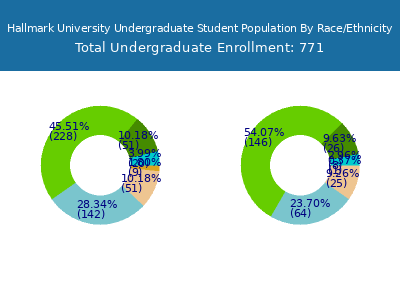 Hallmark University 2025 Undergraduate Enrollment by Gender and Race chart