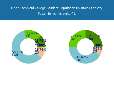 Orion Technical College 2025 Student Population by Gender and Race chart