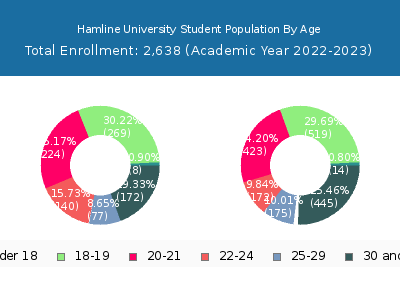 Hamline University 2023 Student Population Age Diversity Pie chart