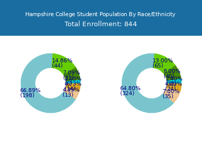 Hampshire College 2025 Student Population by Gender and Race chart