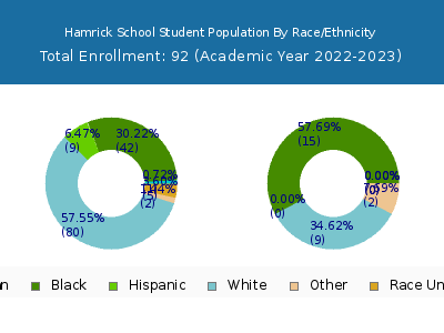 Hamrick School 2023 Student Population by Gender and Race chart