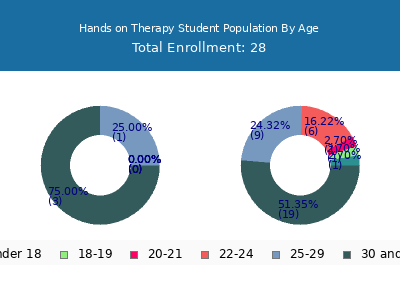 Hands on Therapy 2024 Student Population Age Diversity Pie chart