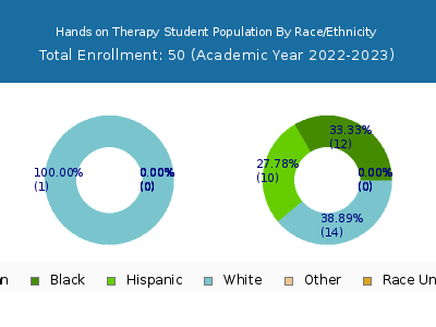 Hands on Therapy 2023 Student Population by Gender and Race chart