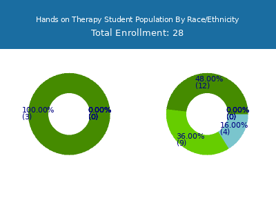 Hands on Therapy 2025 Student Population by Gender and Race chart
