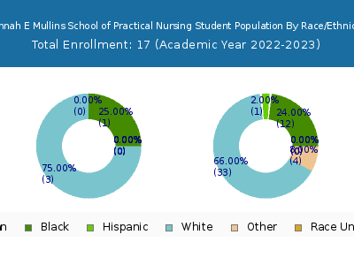 Hannah E Mullins School of Practical Nursing 2023 Student Population by Gender and Race chart
