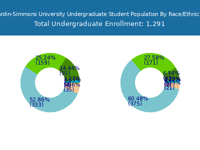 Hardin-Simmons University 2025 Undergraduate Enrollment by Gender and Race chart