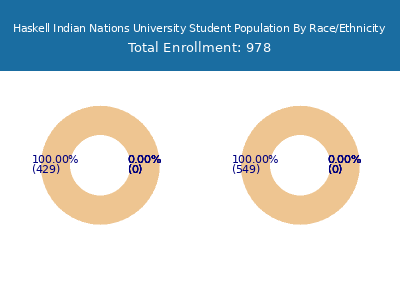 Haskell Indian Nations University 2025 Student Population by Gender and Race chart